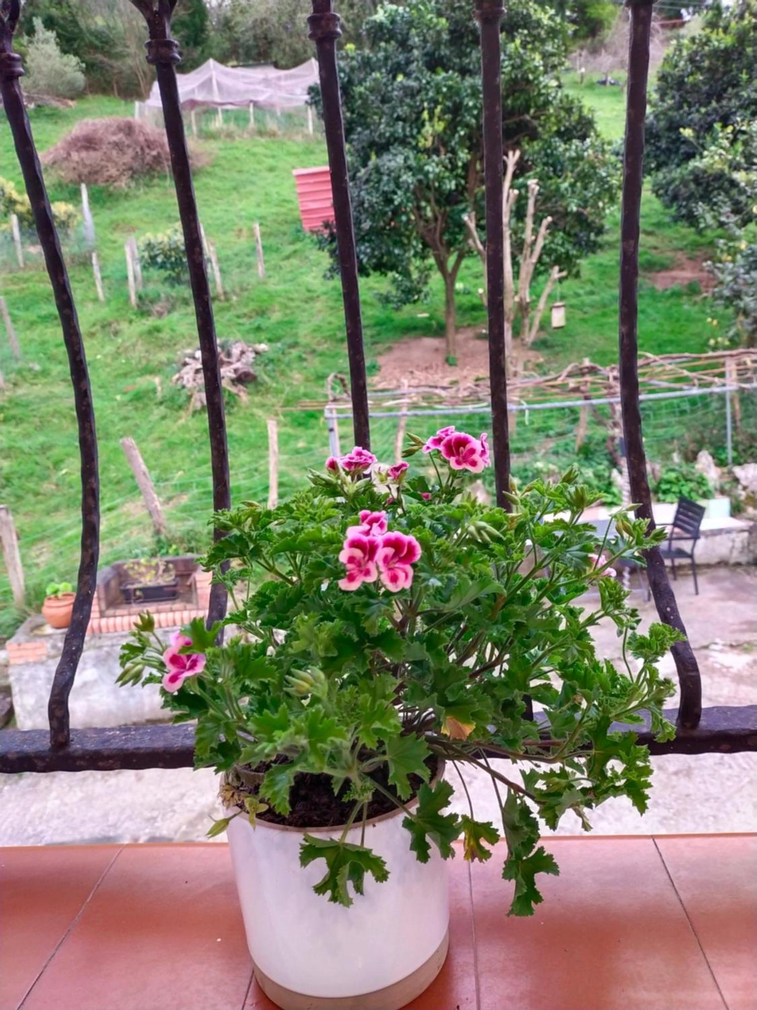 Antzomendi Apartment Mutriku Luaran gambar